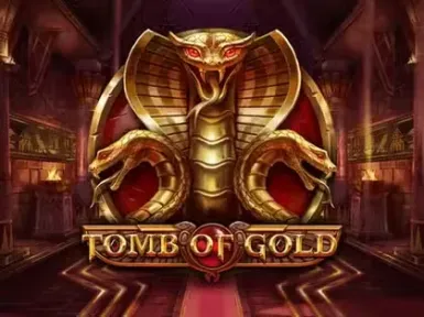 TomCasino screenshot